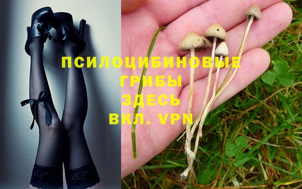 герыч Нея