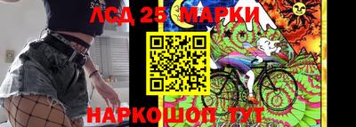 a pvp Камышлов