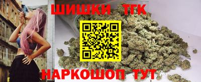 a pvp Камышлов