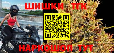a pvp Камышлов