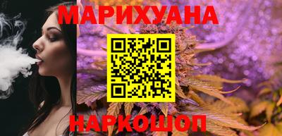 a pvp Камышлов
