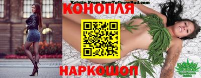 a pvp Камышлов