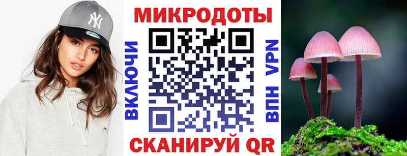 Галлюциногенные грибы Psilocybine cubensis  купить наркотик  Новоалтайск 
