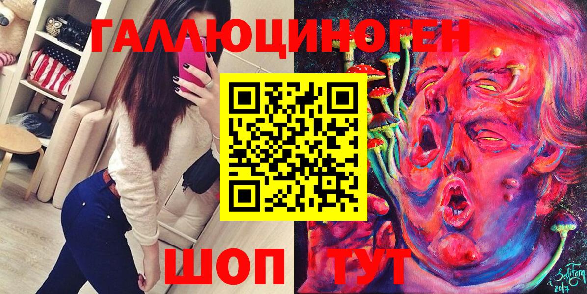 Новоалтайск  Псилоцибиновые грибы Psilocybe  Вход с VPN 